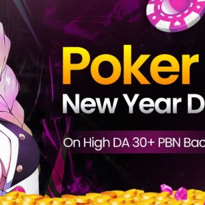 DA 30 Plus PBN Backlinks New Year Offer.jpg
