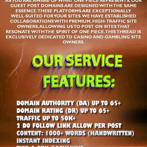 one piece guest CG ajjusolutions (1).jpg