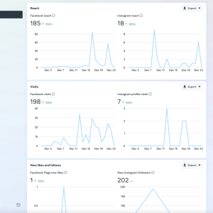Mr.Engage Results