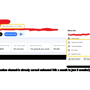 (This youtube faceless channel is already earned estimated $4k a month in just 5 months!).png