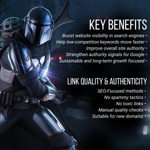 Rebel Phantom SEO Foundation Backlinks (3).jpg