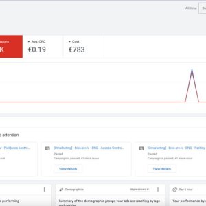 Google ads rent