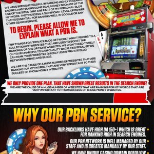 niche casino PBNS backlinks.jpeg