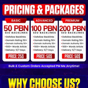 Premium PBN Backlinks.jpg
