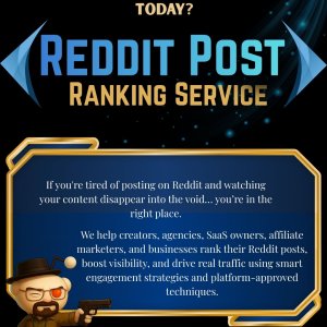 JessiPinkme Reddit Post Ranking Service1 .jpg