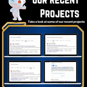 JessiPinkme Reddit Post Ranking Service5.jpg