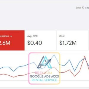 Premium Google ads accounts rental service 1.jpg