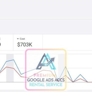 Premium Google ads accounts rental service 2.jpg
