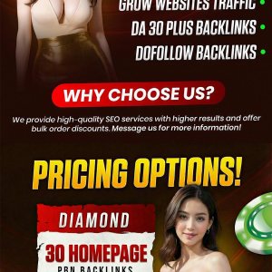 Powerful DA DR 80+ PBN Backlinks