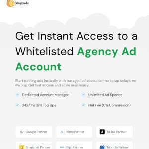 Get Instant Access to a Whitelisted Agency Ad Account