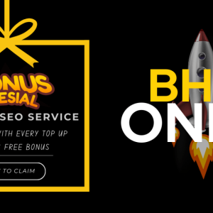 Bonus Special: $20 Free SEO Service – BHW Only
