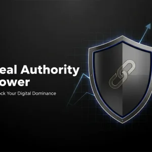 Authority Link Building Service
