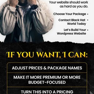 Professional Website Design Services-02.jpg