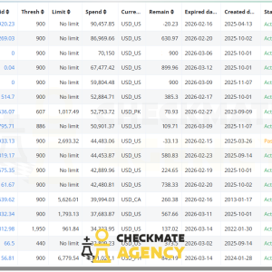 Number of ad accounts of 1 member from 1 company.