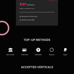 Tiktok agency ad accounts, tiktok ad accounts with spend.jpg