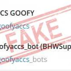 fake_goofyaccs.jpg