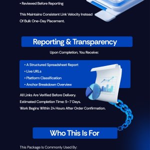 SEO Backlinks 3