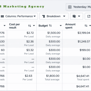 E98B. Marketing Agency  Facebook ads