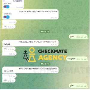 Meta ad account provider - High trust agency