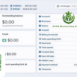 E98B. Marketing Agency HIGH QUALITY AD ACCOUNT?