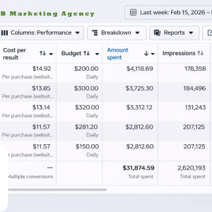 E98B. Marketing Agency HIGH QUALITY META AD ACCOUNT