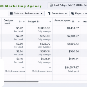 E98B. Marketing Agency The perfect Facebook account