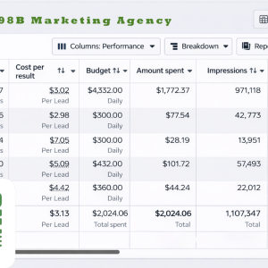 E98B. Marketing Agency Meta ad account