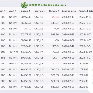 E98B. Marketing Agency Number of advertising accounts for 1 Customer from E98B.