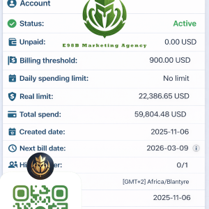 E98B. Marketing Agency Meta ad account