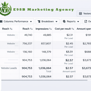 E98B. Marketing Agency  STABLE META AD ACCOUNT
