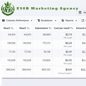 E98B. Marketing Agency Meta ad account
