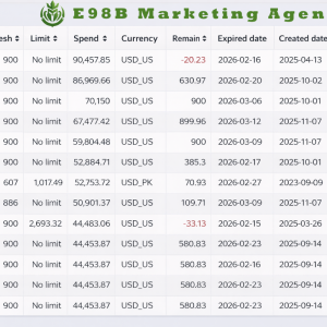 E98B. Marketing Agency Number of advertising accounts for 1 Customer from E98B.