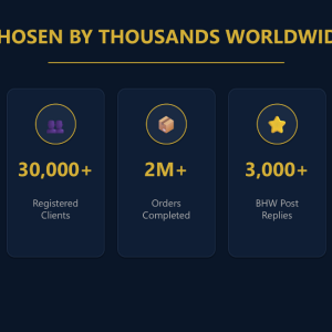 FiveBBC SMM Panel Stats - 30000 Clients and 2M Orders Completed
