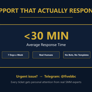 slide_06.pngFiveBBC SMM Panel Support - Under 30 Min Response 7 Days a Week