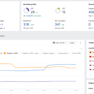 site performance 2.png