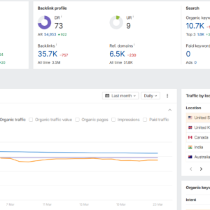 site performance 3.png