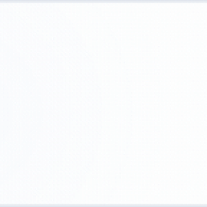 banner.gif