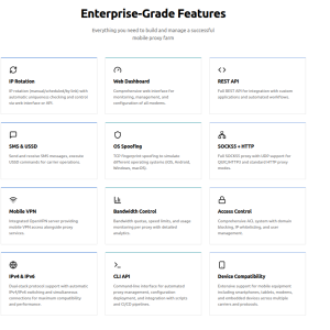 Proxysmart Website - features.