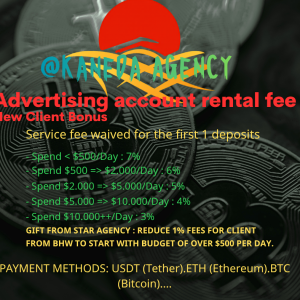 Professional Facebook Advertising Services Poster.png