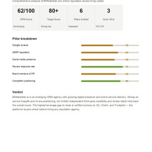 BHMarketer_ORM_Audit_90Day_Plan_page-0002.jpg