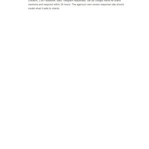 BHMarketer_ORM_Audit_90Day_Plan_page-0006.jpg