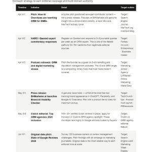 BHMarketer_ORM_Audit_90Day_Plan_page-0008.jpg