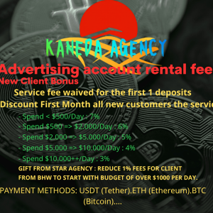 Professional Facebook Advertising Services Poster (2).png