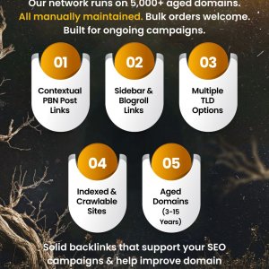 High Authority PBN Sidebar 1.jpg