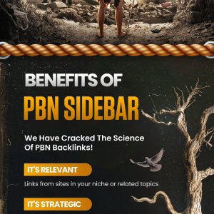 High Authority PBN Sidebar 2.jpg