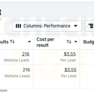 Meta ad account: Small budget but still profitable.