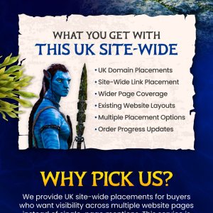 10 UK Site-Wide Backlink.jpg