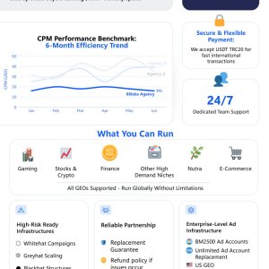 88Labs BM2500 PLATINUM META AD ACCOUNTS FOR RENT