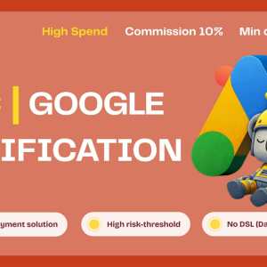 Koya ads Agency Google Ads.png