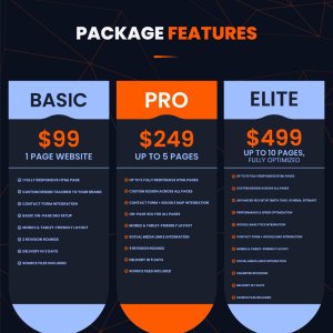 Infographic Designs 1-01.jpg